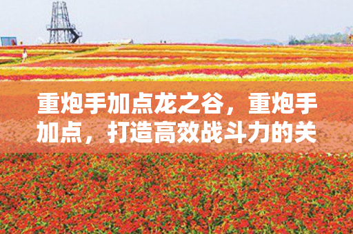 重炮手加点龙之谷，重炮手加点，打造高效战斗力的关键策略