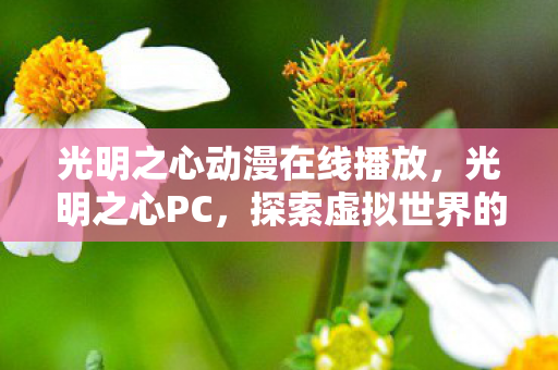 光明之心动漫在线播放,光明之心PC,探索虚拟世界的无限可能 光明之心动漫在线播放,光明之心PC,探索虚拟世界的无限可能