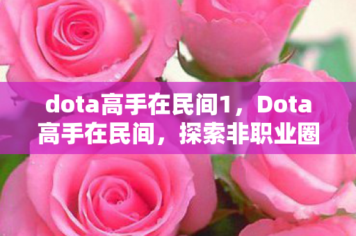 dota高手在民间1，Dota高手在民间，探索非职业圈中的游戏艺术