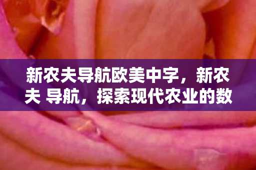 新农夫导航欧美中字,新农夫 导航,探索现代农业的数字化转型之路 新农夫导航欧美中字,新农夫 导航,探索现代农业的数字化转型之路