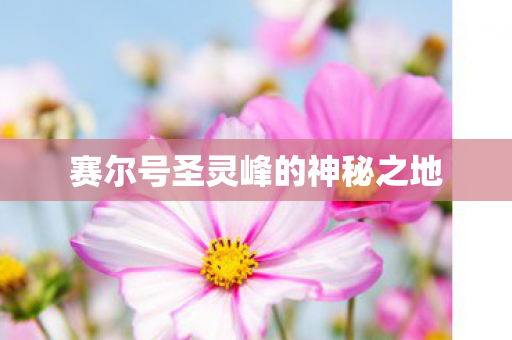 赛尔号圣灵峰的神秘之地