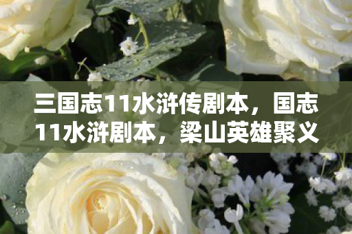 三国志11水浒传剧本,国志11水浒剧本,梁山英雄聚义,共赴江湖豪情 三国志11水浒传剧本,国志11水浒剧本,梁山英雄聚义,共赴江湖豪情