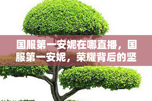 国服第一安妮在哪直播,国服第一安妮,荣耀背后的坚持与努力 国服第一安妮在哪直播,国服第一安妮,荣耀背后的坚持与努力