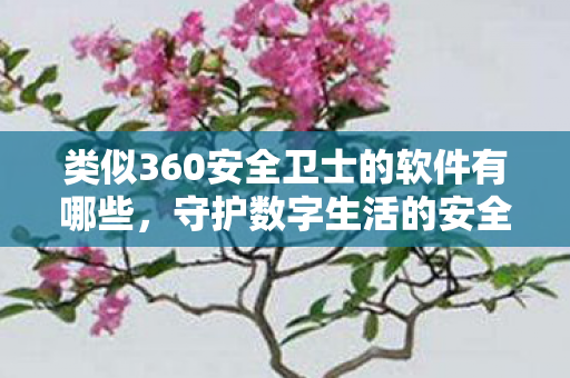 类似360安全卫士的软件有哪些，守护数字生活的安全卫士，全面解析替代360安全卫士的软件选择