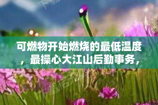 可燃物开始燃烧的最低温度,最操心大江山后勤事务,如何高效管理资源,确保江山稳固 可燃物开始燃烧的最低温度,最操心大江山后勤事务,如何高效管理资源,确保江山稳固