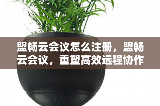 重塑高效远程协作新体验图片