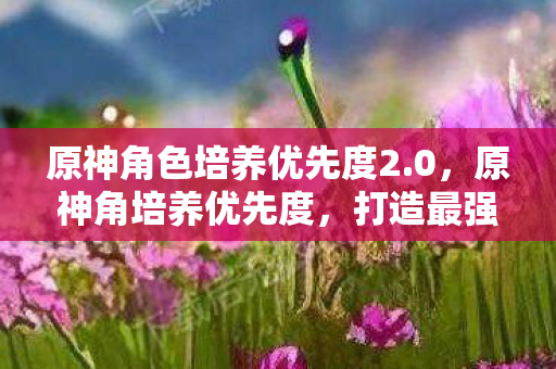 原神角色培养优先度2.0,原神角培养优先度,打造最强队伍的策略指南 原神角色培养优先度2.0,原神角培养优先度,打造最强队伍的策略指南