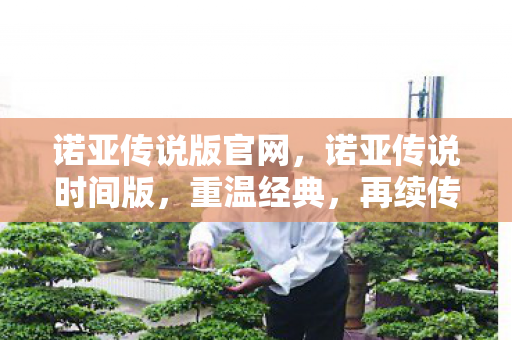 诺亚传说版官网,诺亚传说时间版,重温经典,再续传奇 诺亚传说版官网,诺亚传说时间版,重温经典,再续传奇