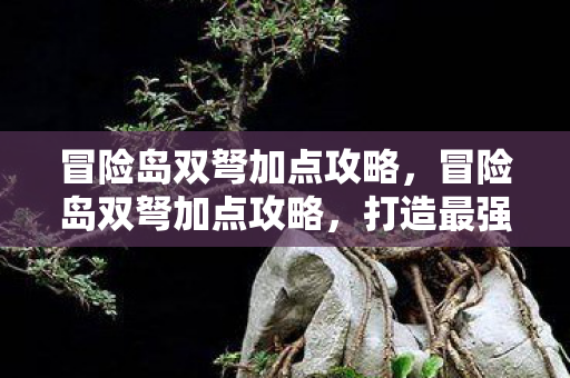 冒险岛双弩加点攻略，冒险岛双弩加点攻略，打造最强输出角色
