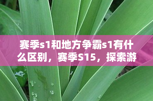 赛季s1和地方争霸s1有什么区别，赛季S15，探索游戏竞技的新高度