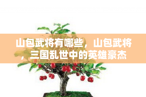 山包武将有哪些,山包武将,三国乱世中的英雄豪杰 山包武将有哪些,山包武将,三国乱世中的英雄豪杰