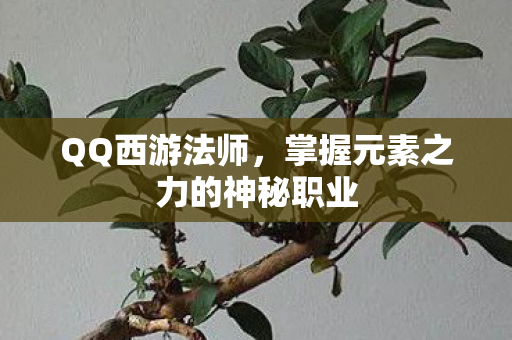 QQ西游法师,掌握元素之力的神秘职业 QQ西游法师,掌握元素之力的神秘职业