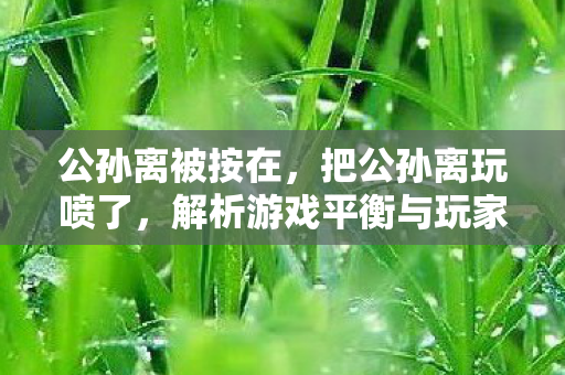 公孙离被按在,把公孙离玩喷了,解析游戏平衡与玩家心态的微妙关系 公孙离被按在,把公孙离玩喷了,解析游戏平衡与玩家心态的微妙关系