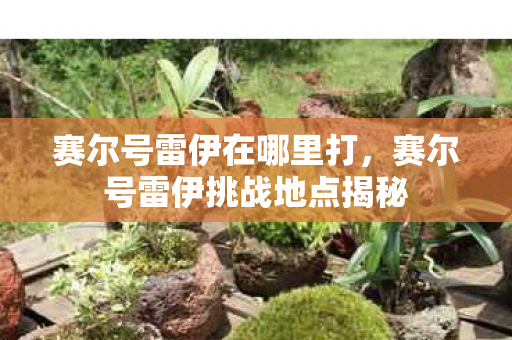 赛尔号雷伊在哪里打,赛尔号雷伊挑战地点揭秘 赛尔号雷伊在哪里打,赛尔号雷伊挑战地点揭秘