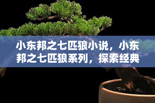 小东邦之七匹狼小说,小东邦之七匹狼系列,探索经典与创新的交汇点 小东邦之七匹狼小说,小东邦之七匹狼系列,探索经典与创新的交汇点