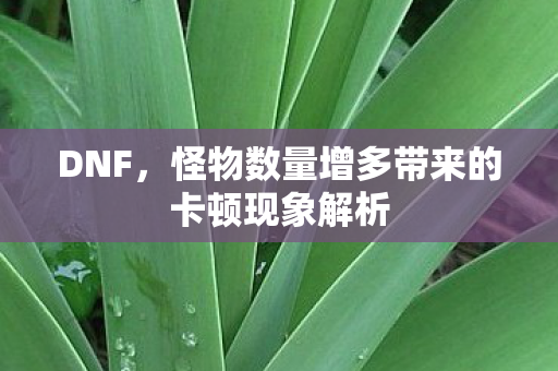 DNF,怪物数量增多带来的卡顿现象解析 DNF,怪物数量增多带来的卡顿现象解析