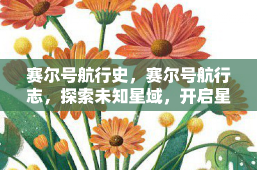 赛尔号航行史，赛尔号航行志，探索未知星域，开启星际冒险
