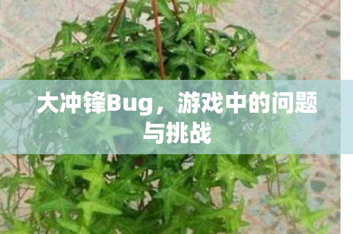 大冲锋Bug,游戏中的问题与挑战 大冲锋Bug,游戏中的问题与挑战