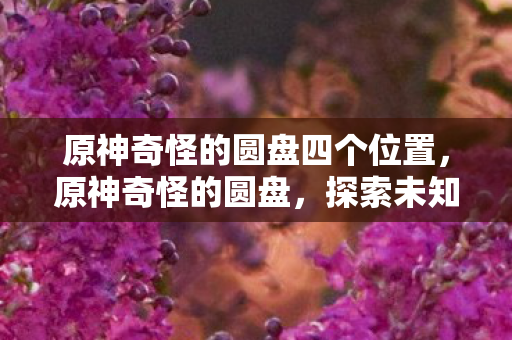 原神奇怪的圆盘四个位置,原神奇怪的圆盘,探索未知世界的神秘之旅 原神奇怪的圆盘四个位置,原神奇怪的圆盘,探索未知世界的神秘之旅