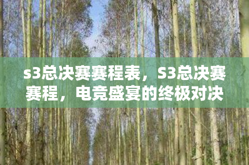 s3总决赛赛程表,S3总决赛赛程,电竞盛宴的终极对决 s3总决赛赛程表,S3总决赛赛程,电竞盛宴的终极对决