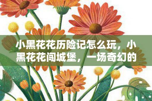 小黑花花历险记怎么玩,小黑花花闯城堡,一场奇幻的冒险之旅 小黑花花历险记怎么玩,小黑花花闯城堡,一场奇幻的冒险之旅
