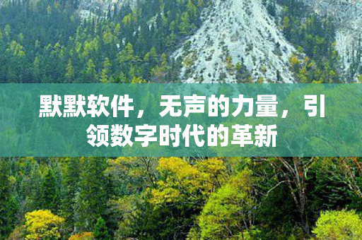 默默软件,无声的力量,引领数字时代的革新 默默软件,无声的力量,引领数字时代的革新