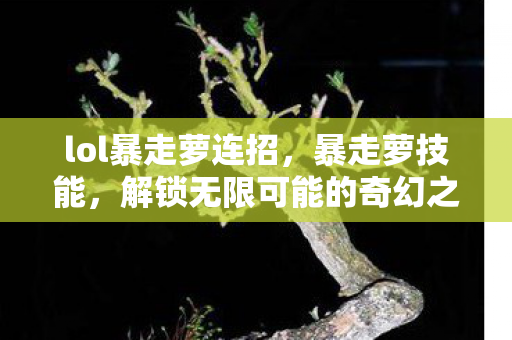 lol暴走萝连招，暴走萝技能，解锁无限可能的奇幻之旅