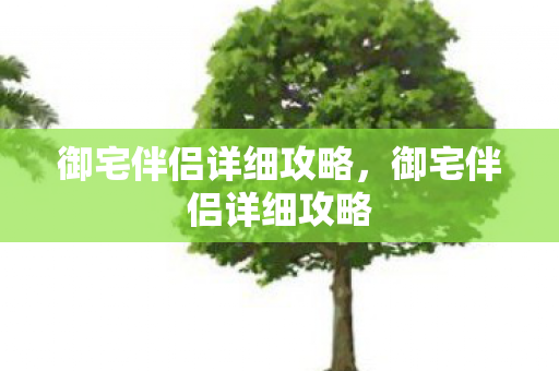 御宅伴侣详细攻略,御宅伴侣详细攻略 御宅伴侣详细攻略,御宅伴侣详细攻略