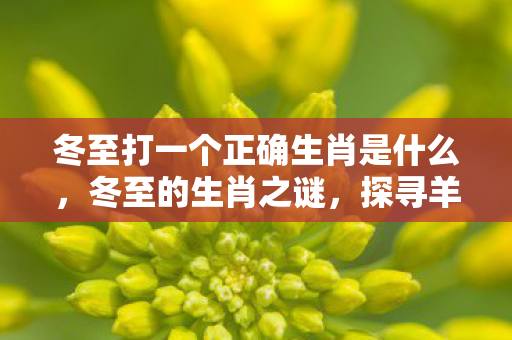冬至打一个正确生肖是什么,冬至的生肖之谜,探寻羊背后的文化深意 冬至打一个正确生肖是什么,冬至的生肖之谜,探寻羊背后的文化深意