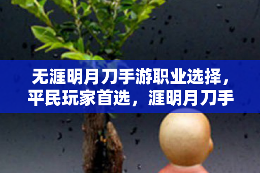 无涯明月刀手游职业选择,平民玩家首选,涯明月刀手游职业推荐 无涯明月刀手游职业选择,平民玩家首选,涯明月刀手游职业推荐
