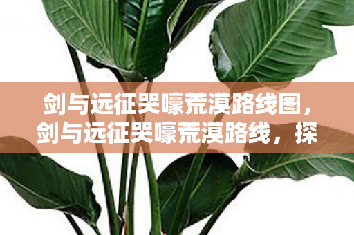 剑与远征哭嚎荒漠路线图，剑与远征哭嚎荒漠路线，探索未知的挑战之旅