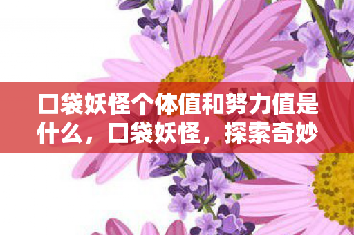 口袋妖怪个体值和努力值是什么,口袋妖怪,探索奇妙世界的奇幻之旅 口袋妖怪个体值和努力值是什么,口袋妖怪,探索奇妙世界的奇幻之旅