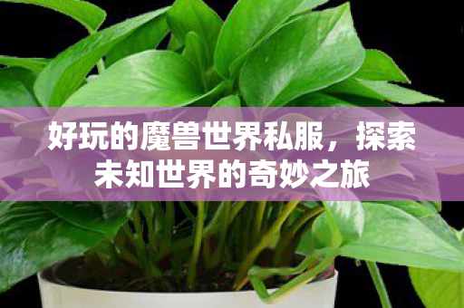 好玩的魔兽世界私服,探索未知世界的奇妙之旅 好玩的魔兽世界私服,探索未知世界的奇妙之旅