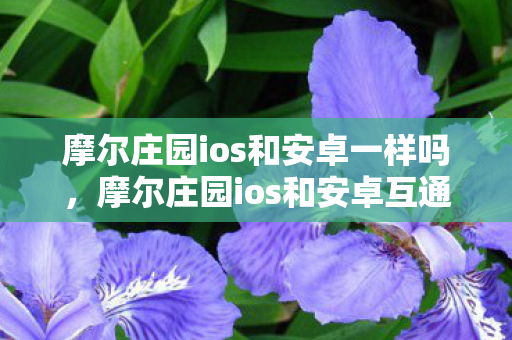 摩尔庄园ios和安卓一样吗，摩尔庄园ios和安卓互通吗？详解游戏数据互通机制