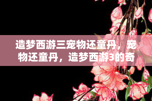 造梦西游三宠物还童丹，宠物还童丹，造梦西游3的奇幻之旅