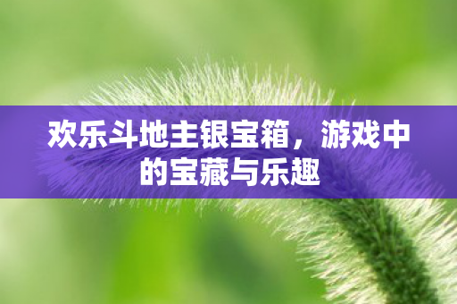 欢乐斗地主银宝箱,游戏中的宝藏与乐趣 欢乐斗地主银宝箱,游戏中的宝藏与乐趣