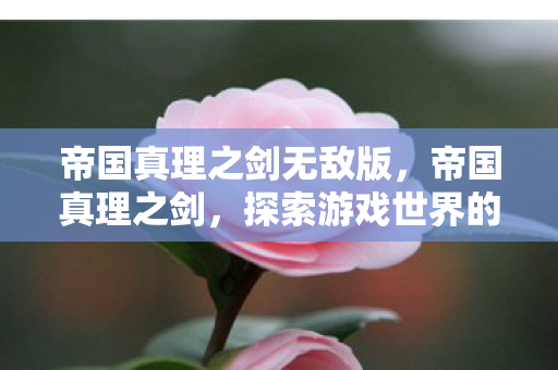 帝国真理之剑无敌版,帝国真理之剑,探索游戏世界的无限可能 帝国真理之剑无敌版,帝国真理之剑,探索游戏世界的无限可能