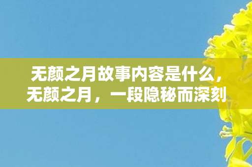 无颜之月故事内容是什么,无颜之月,一段隐秘而深刻的情感探索 无颜之月故事内容是什么,无颜之月,一段隐秘而深刻的情感探索