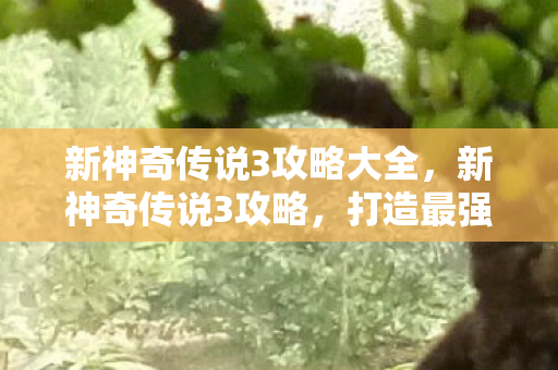 新神奇传说3攻略大全，新神奇传说3攻略，打造最强角色，征服魔幻世界