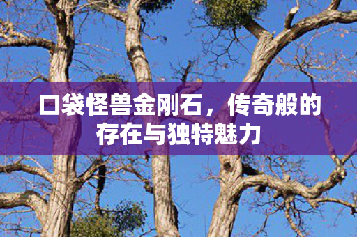 口袋怪兽金刚石，传奇般的存在与独特魅力