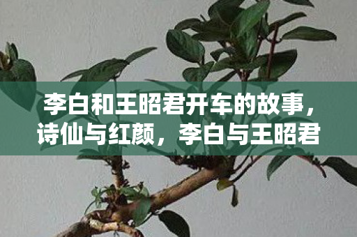 李白和王昭君开车的故事，诗仙与红颜，李白与王昭君的跨界之旅