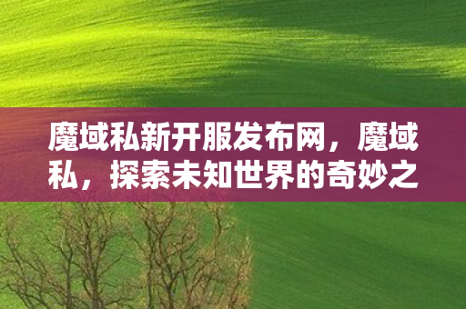 魔域私新开服发布网，魔域私，探索未知世界的奇妙之旅