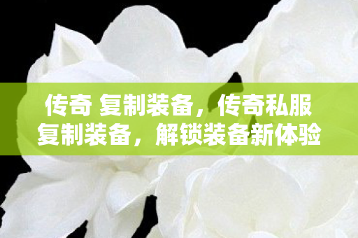 传奇 复制装备,传奇私服复制装备,解锁装备新体验,探索无限可能 传奇 复制装备,传奇私服复制装备,解锁装备新体验,探索无限可能