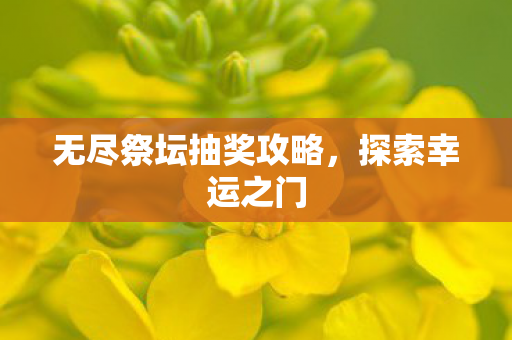 无尽祭坛抽奖攻略,探索幸运之门 无尽祭坛抽奖攻略,探索幸运之门