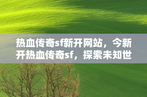 热血传奇sf新开网站，今新开热血传奇sf，探索未知世界的奇幻之旅