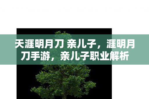 天涯明月刀 亲儿子,涯明月刀手游,亲儿子职业解析 天涯明月刀 亲儿子,涯明月刀手游,亲儿子职业解析