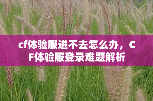 cf体验服进不去怎么办图片