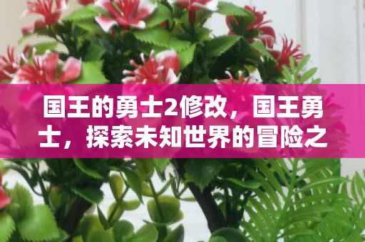 国王的勇士2修改,国王勇士,探索未知世界的冒险之旅 国王的勇士2修改,国王勇士,探索未知世界的冒险之旅
