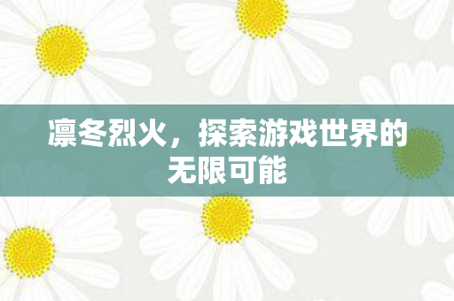 凛冬烈火,探索游戏世界的无限可能 凛冬烈火,探索游戏世界的无限可能