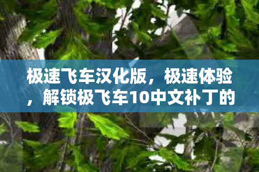极速飞车汉化版,极速体验,解锁极飞车10中文补丁的无限可能 极速飞车汉化版,极速体验,解锁极飞车10中文补丁的无限可能